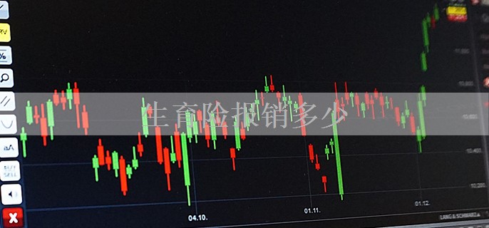 生育险报销多少