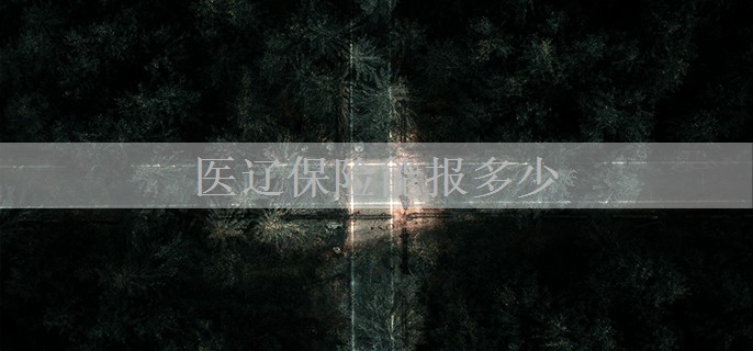 医辽保险能报多少