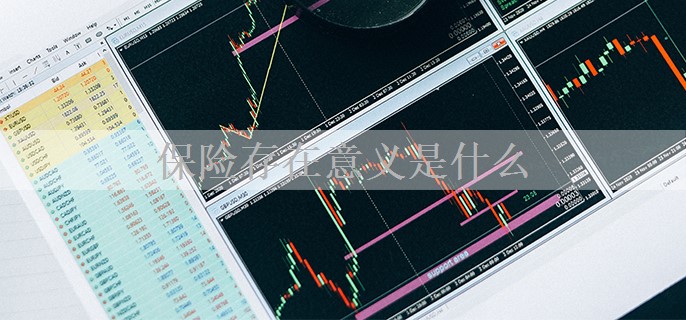 保险存在意义是什么