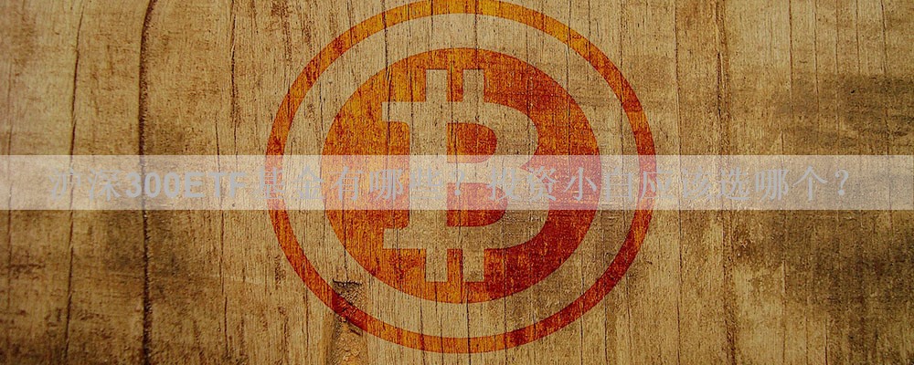 沪深300ETF基金有哪些？投资小白应该选哪个？