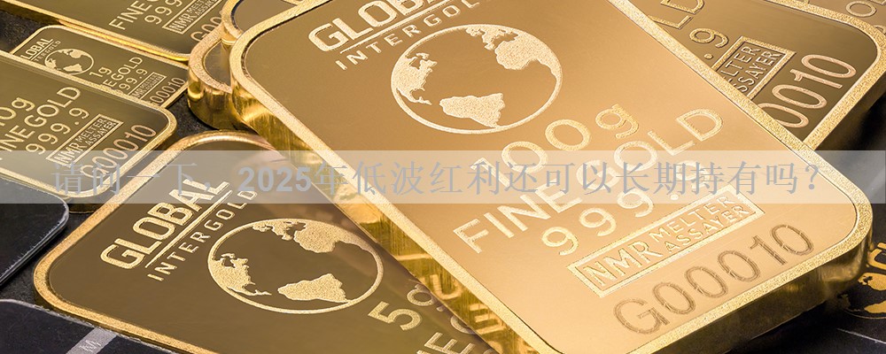 请问一下，2025年低波红利还可以长期持有吗？