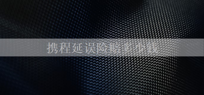 携程延误险赔多少钱