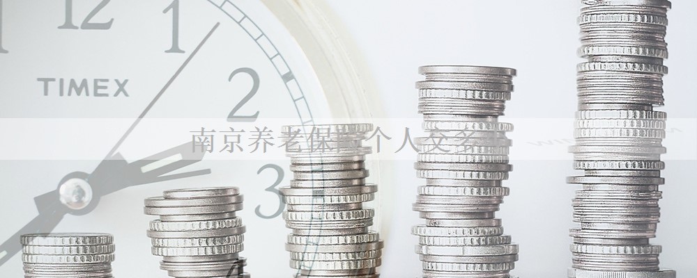 南京养老保险个人交多少