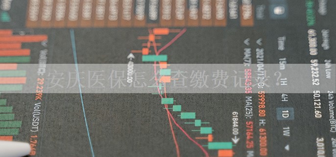 安庆医保怎么查缴费记录？