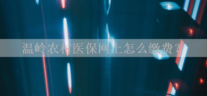 温岭农村医保网上怎么缴费？
