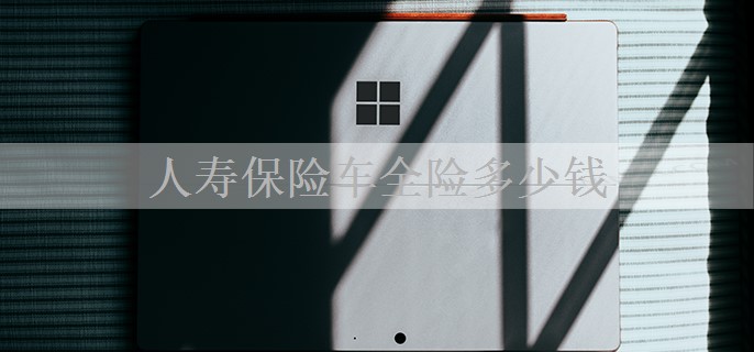人寿保险车全险多少钱