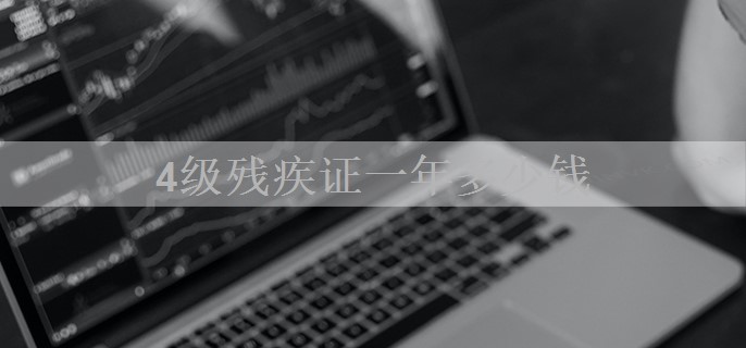 4级残疾证一年多少钱