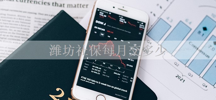 潍坊社保每月交多少