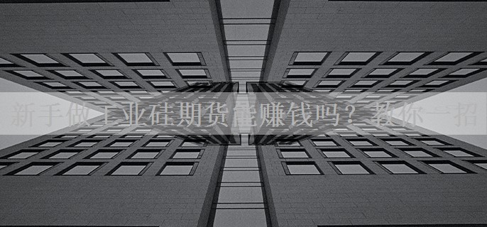 新手做工业硅期货能赚钱吗?教你一招