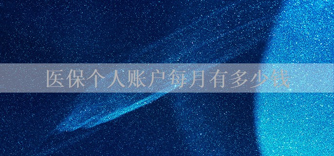 医保个人账户每月有多少钱