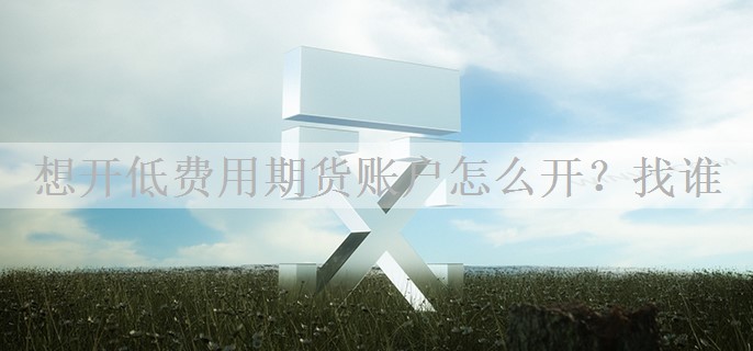 想开低费用期货账户怎么开？找谁