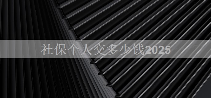 社保个人交多少钱2025