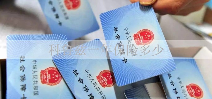 科鲁兹一年保险多少