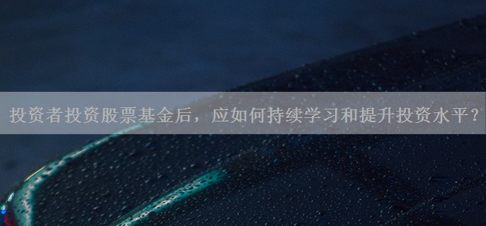 投资者投资股票基金后，应如何持续学习和提升投资水平？