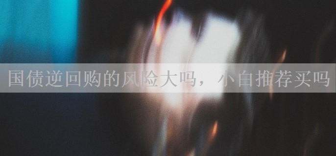 国债逆回购的风险大吗，小白推荐买吗