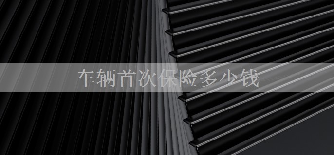 车辆首次保险多少钱