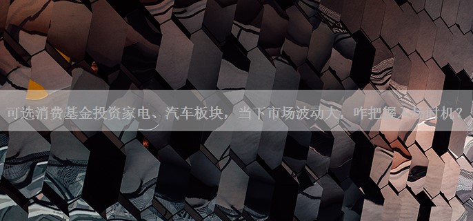可选消费基金投资家电、汽车板块，当下市场波动大，咋把握入场时机？