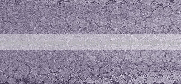 想通过购买保险为孩子的教育和自己的养老做准备，是选择香港保险还是内地年金险更合适？