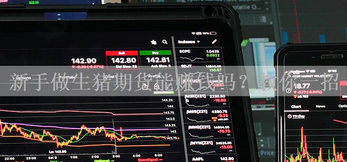 新手做生猪期货能赚钱吗？教你一招