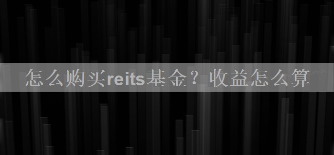 怎么购买reits基金？收益怎么算