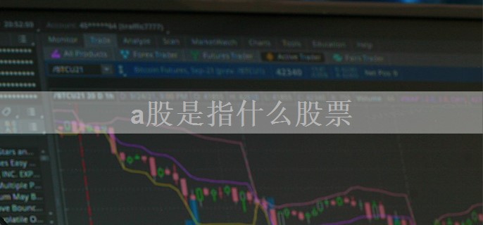 a股是指什么股票