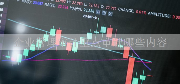 企业管理审计重点审计哪些内容