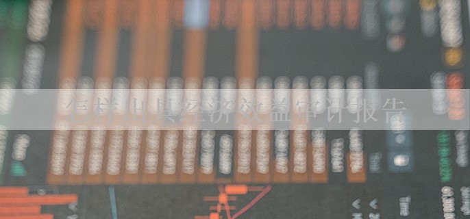 怎样出具经济效益审计报告