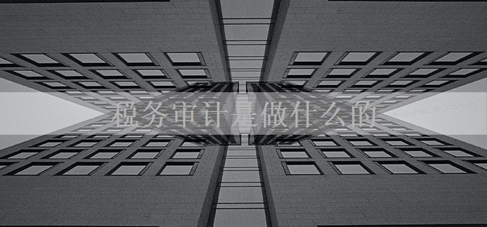 税务审计是做什么的