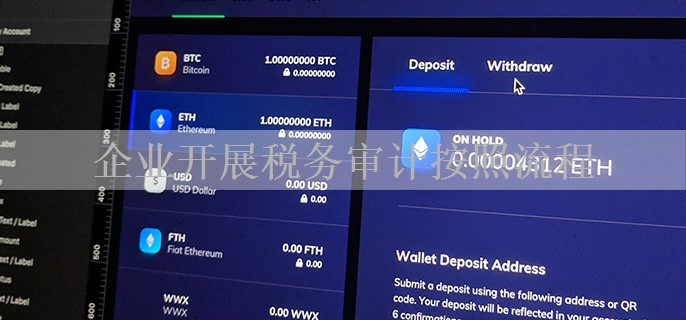 企业开展税务审计按照流程