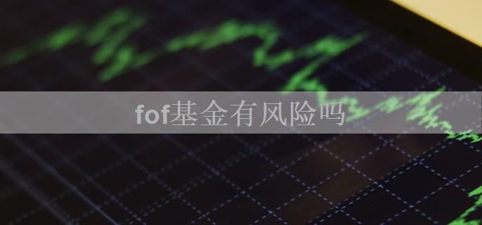fof基金有风险吗