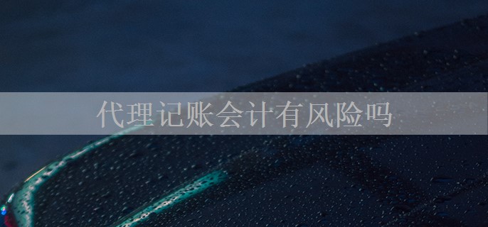 代理记账会计有风险吗