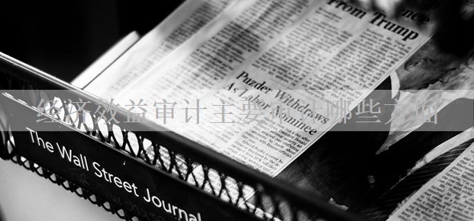 经济效益审计主要审计哪些方面