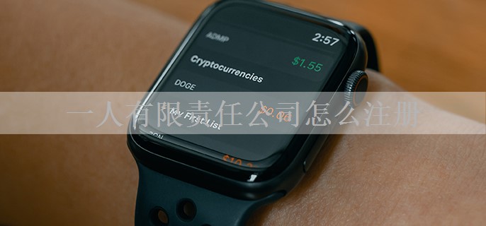 一人有限责任公司怎么注册