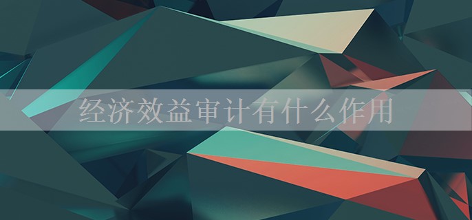 经济效益审计有什么作用