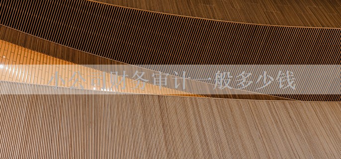小公司财务审计一般多少钱
