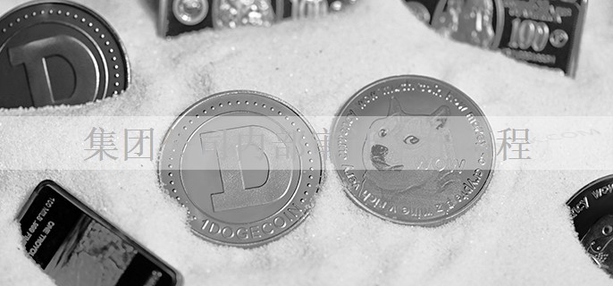 集团公司内部审计工作流程