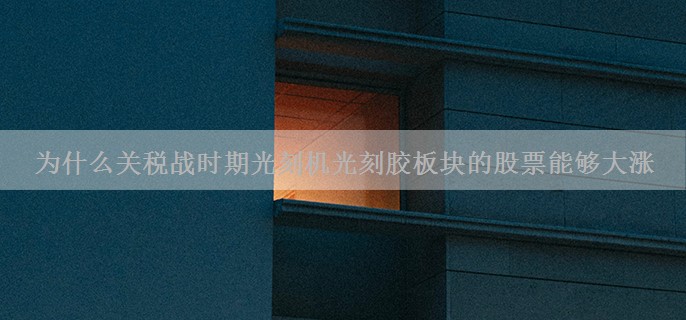 为什么关税战时期光刻机光刻胶板块的股票能够大涨