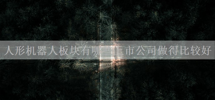人形机器人板块有哪些上市公司做得比较好