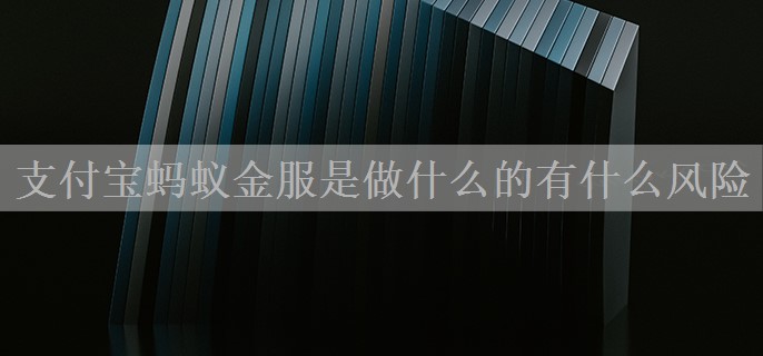 支付宝蚂蚁金服是做什么的有什么风险