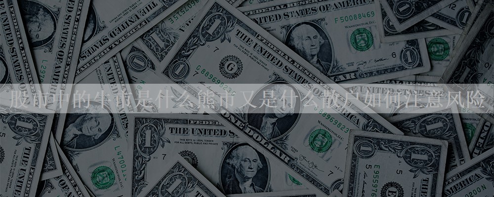 股市中的牛市是什么熊市又是什么散户如何注意风险