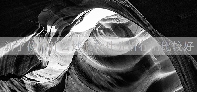 新手使用什么炒股软件分析行情比较好