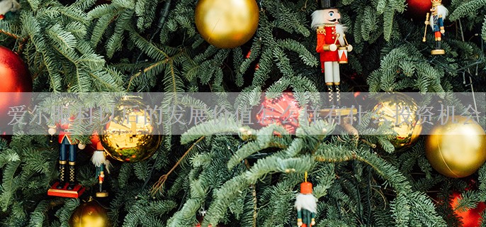 爱尔眼科以后的发展价值怎么样有什么投资机会